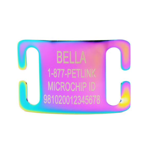 Personalized Slide-On Collar Tags for Dogs