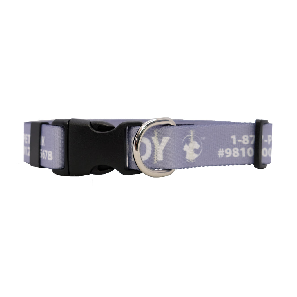 Personalized Jewel-Toned Dog Collars