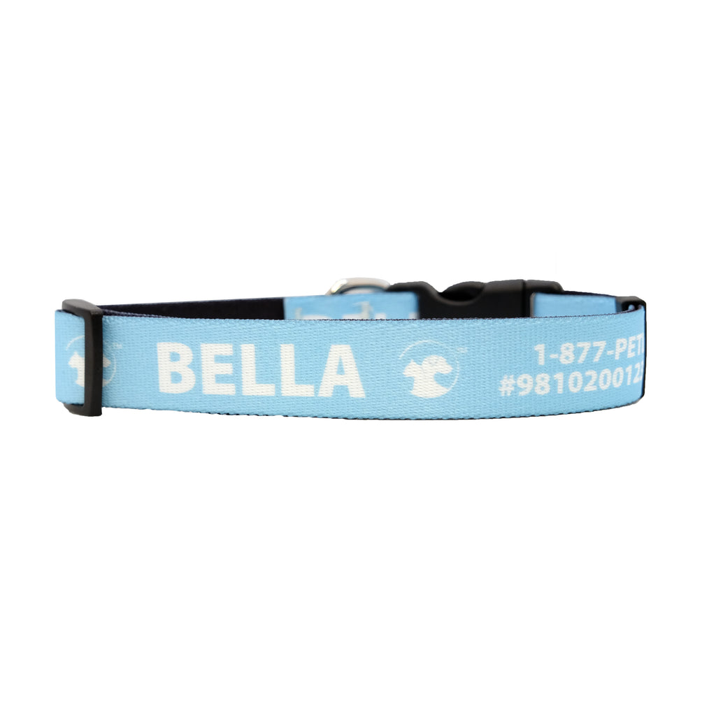 Personalized Jewel-Toned Dog Collars