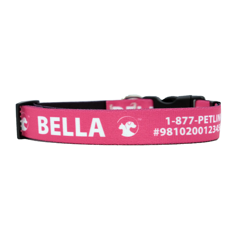 Personalized Jewel-Toned Dog Collars