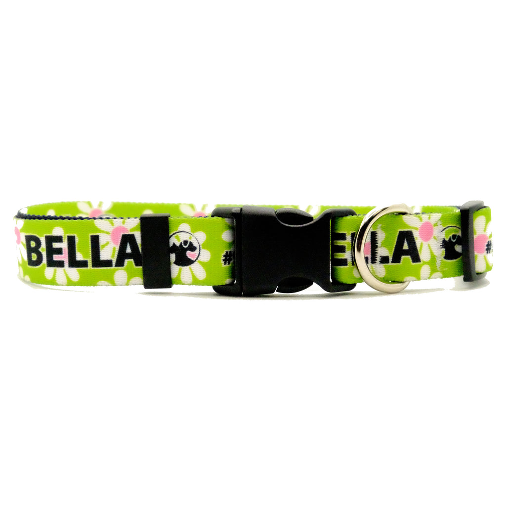 Personalized Floral Dog Collars