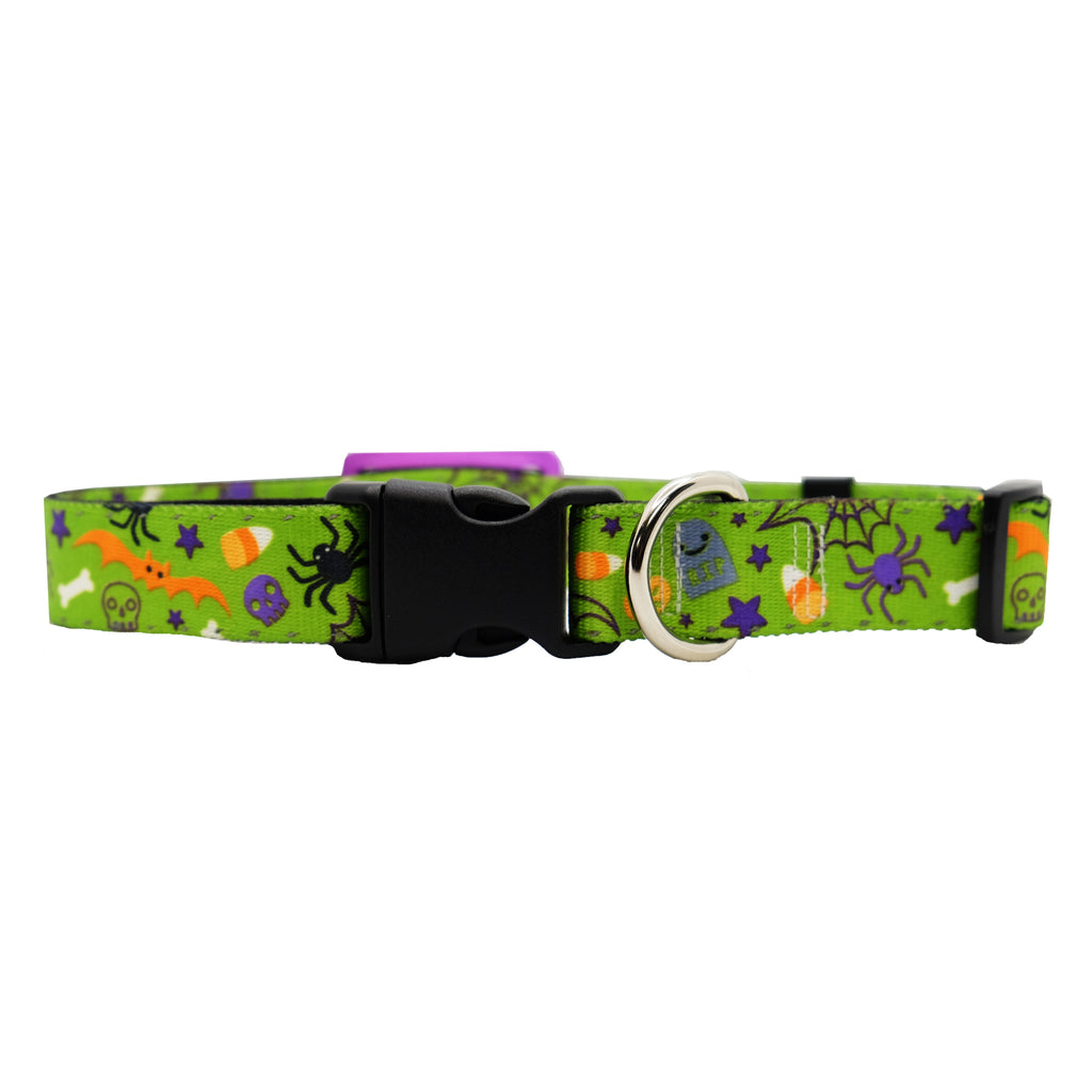 Personalized Halloween Dog Collars with Reflective Stitching and Slider Tag