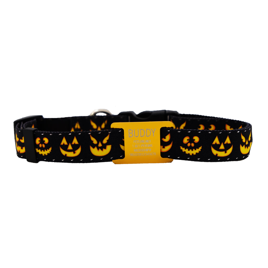 Personalized Halloween Dog Collars with Reflective Stitching and Slider Tag