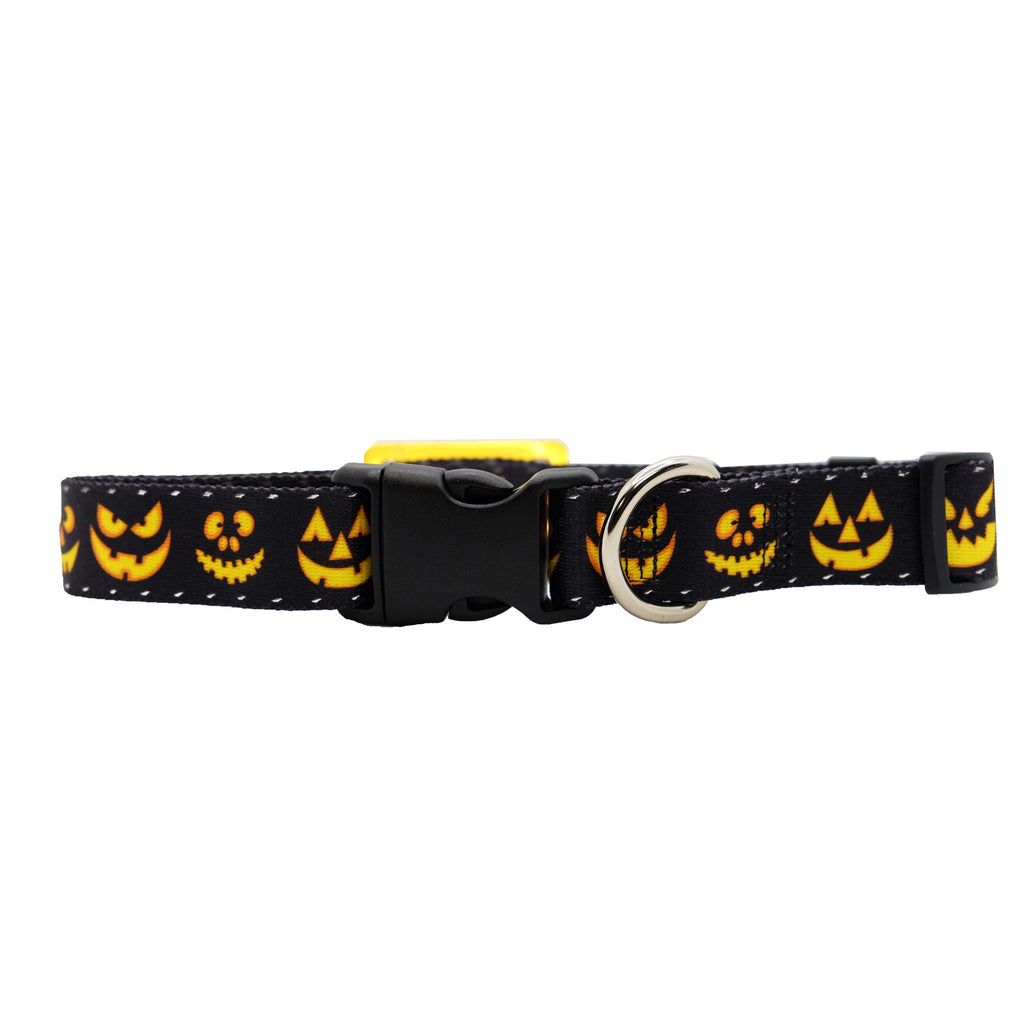 Personalized Halloween Dog Collars with Reflective Stitching and Slider Tag