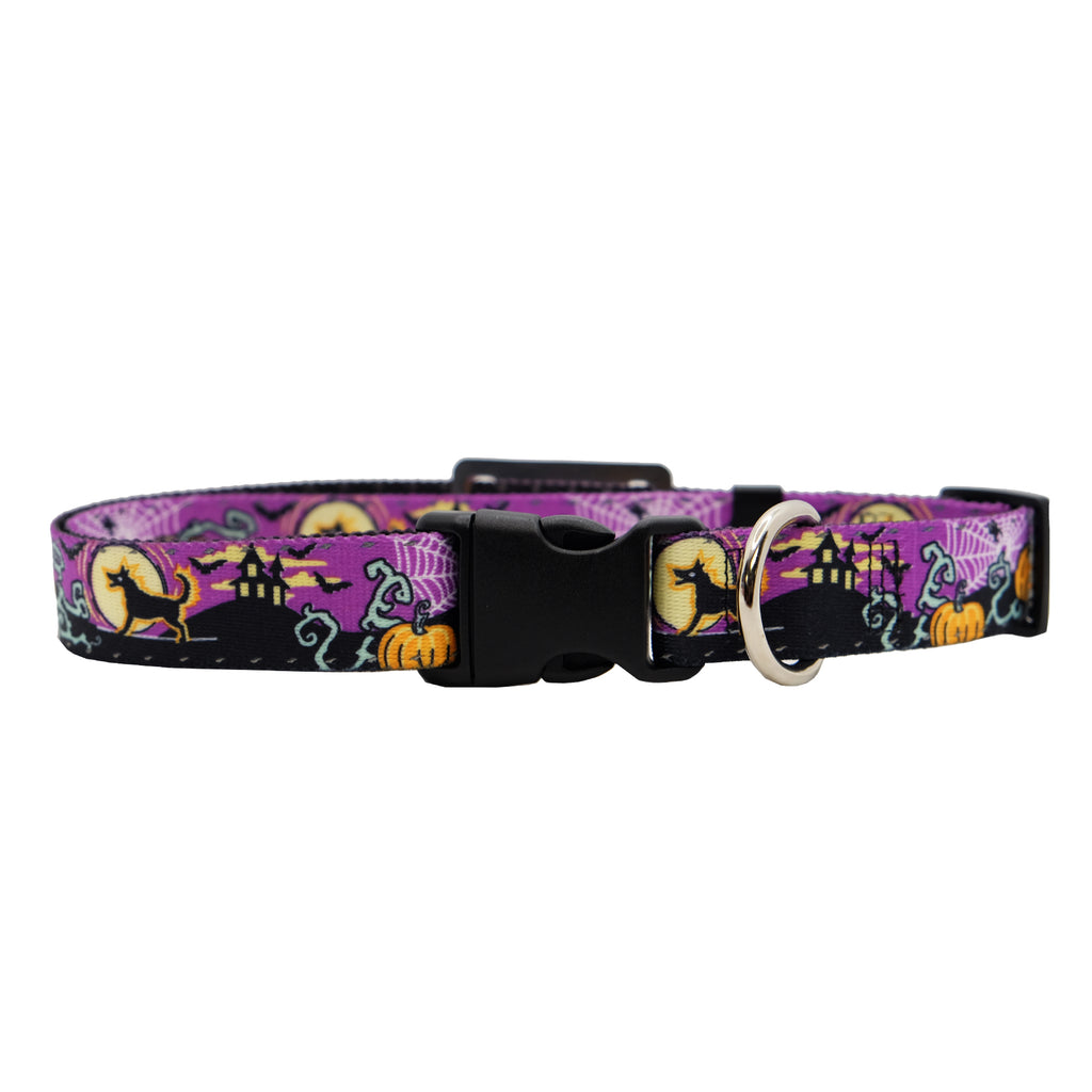 Personalized Halloween Dog Collars with Reflective Stitching and Slider Tag
