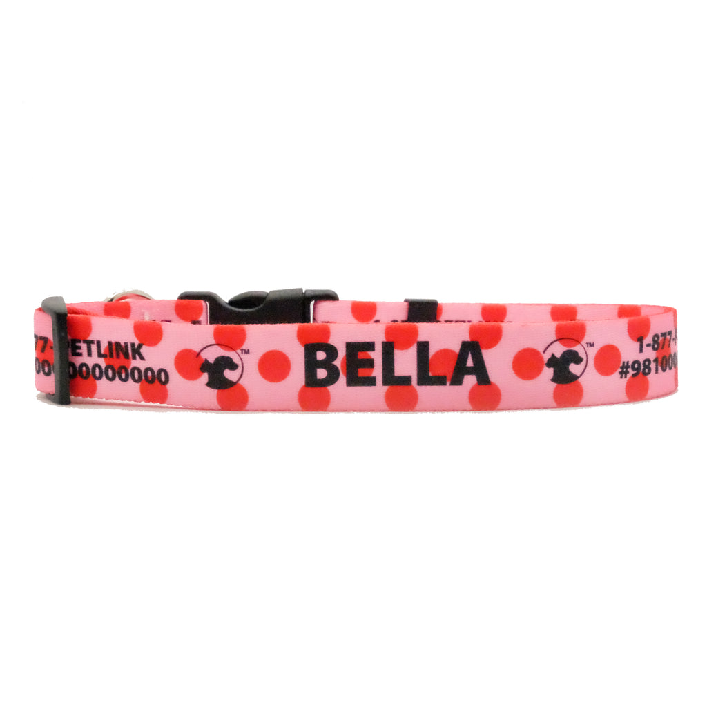 Personalized Polka Dot Dog Collars (3 colors available)
