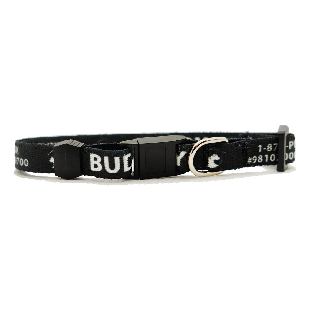 Personalized Solid Break-Away Cat Collars