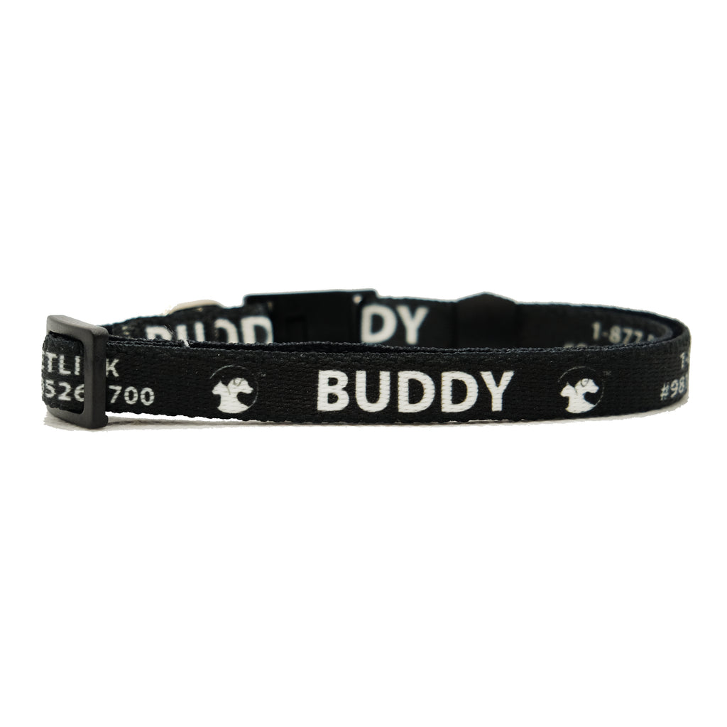 Personalized Solid Break-Away Cat Collars