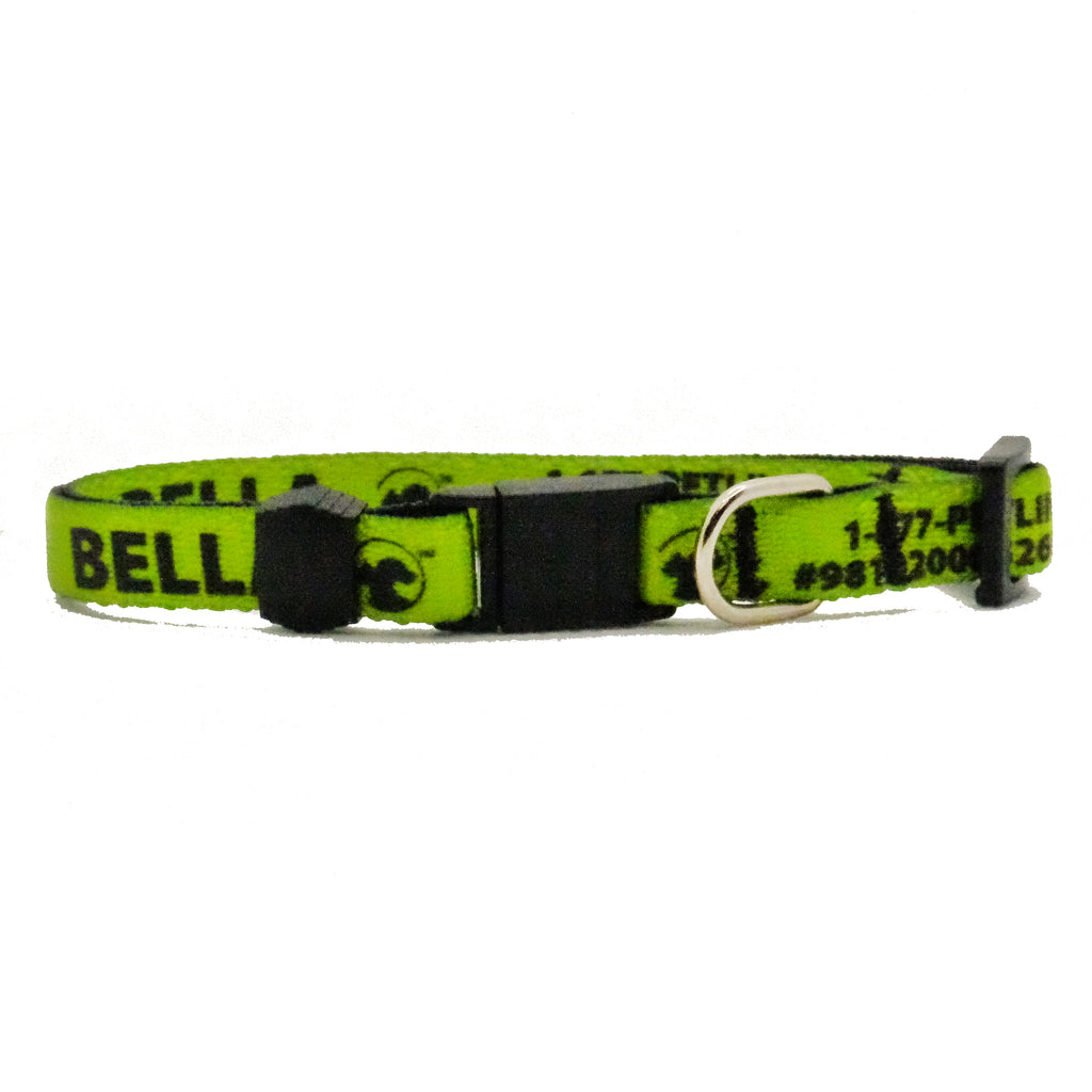 Personalized Solid Break-Away Cat Collars