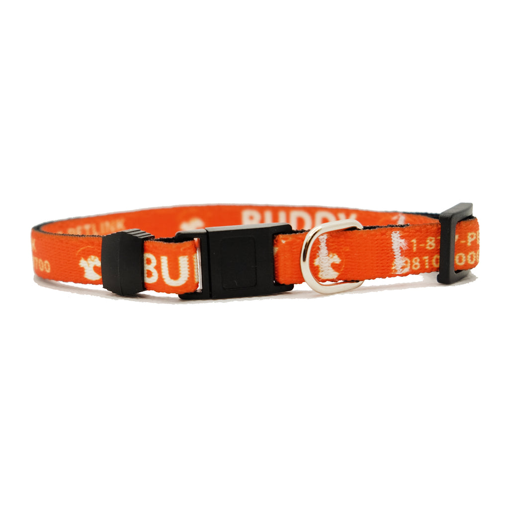 Personalized Solid Break-Away Cat Collars