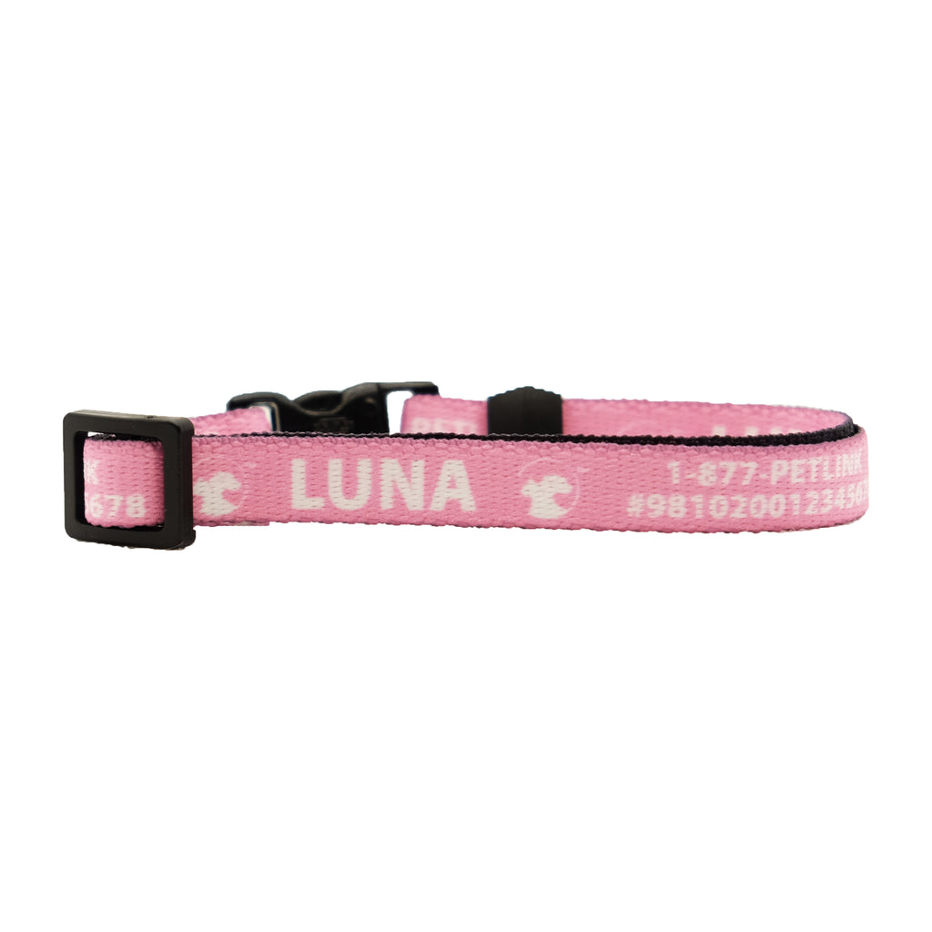 Personalized Solid Break-Away Cat Collars