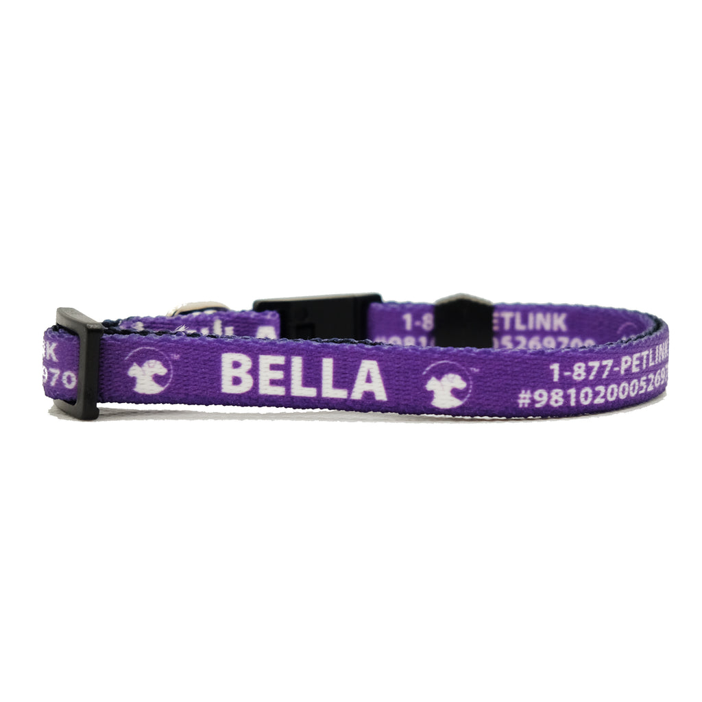 Personalized Solid Break-Away Cat Collars