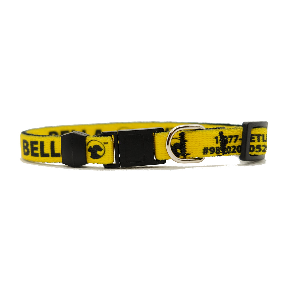 Personalized Solid Break-Away Cat Collars