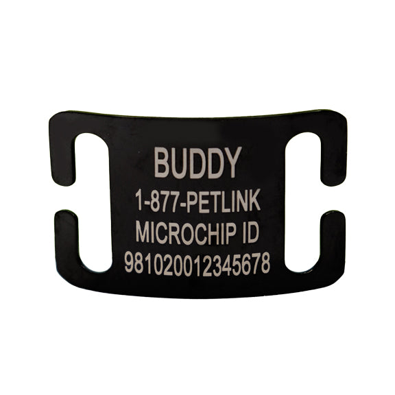 Personalized Slide-On Collar Tags for Dogs