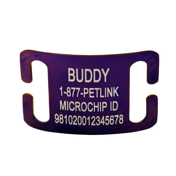 Personalized Slide-On Collar Tags for Dogs