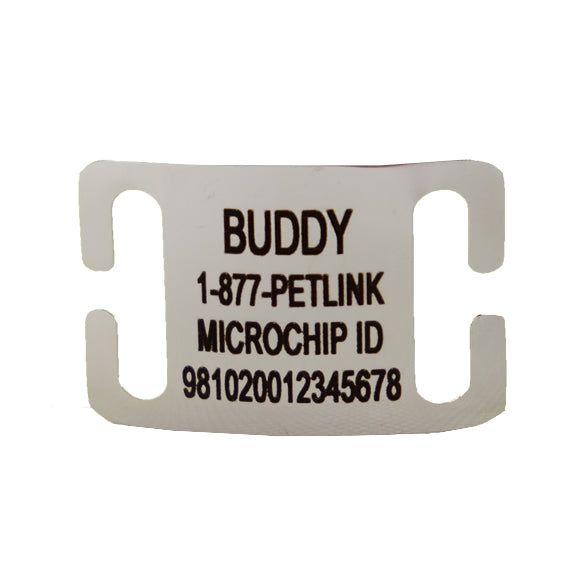 Personalized Slide-On Collar Tags for Dogs