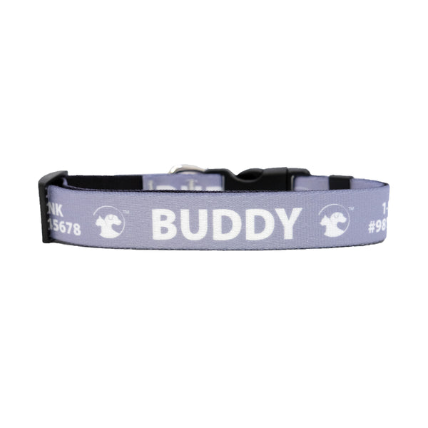 Personalized Jewel-Toned Dog Collars