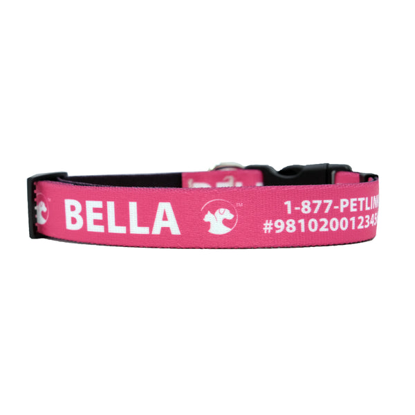 Personalized Jewel-Toned Dog Collars