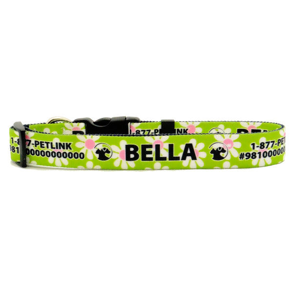 Personalized Floral Dog Collars