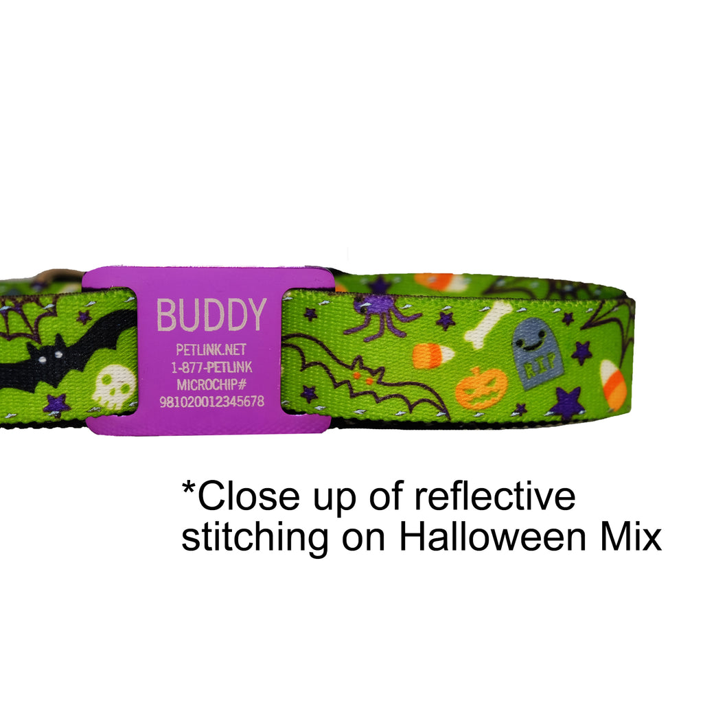 Personalized Halloween Dog Collars with Reflective Stitching and Slider Tag