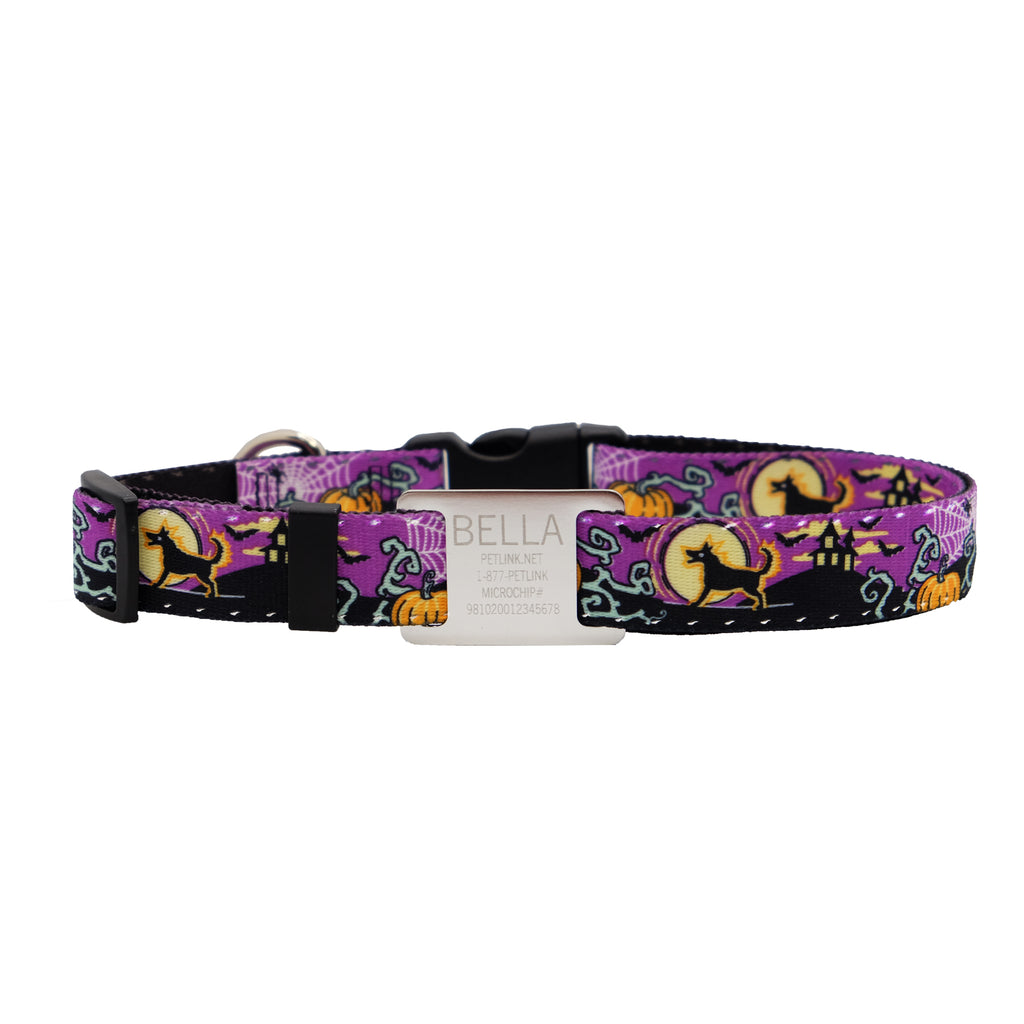 Personalized Halloween Dog Collars with Reflective Stitching and Slider Tag