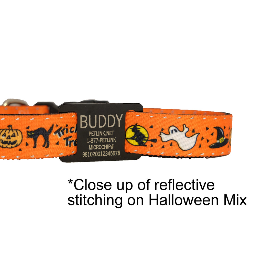 Personalized Halloween Dog Collars with Reflective Stitching and Slider Tag