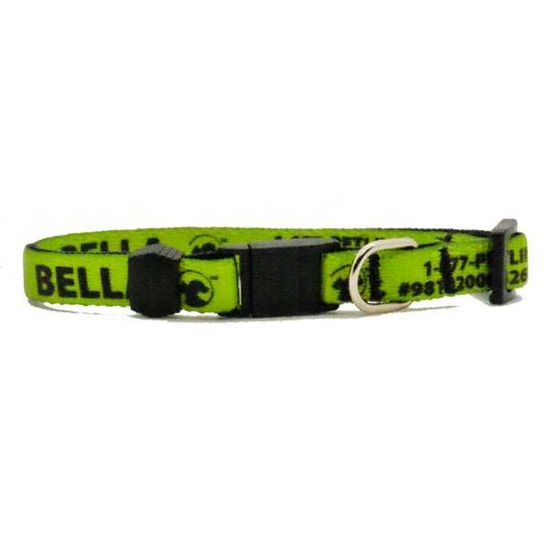 Personalized Solid Break-Away Cat Collars