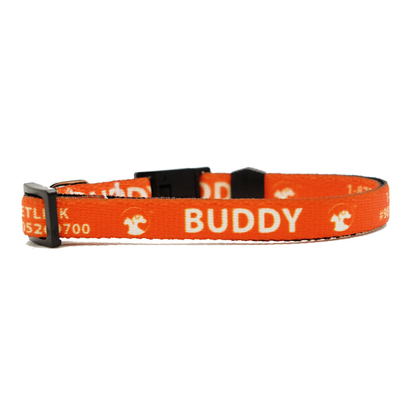 Personalized Solid Break-Away Cat Collars