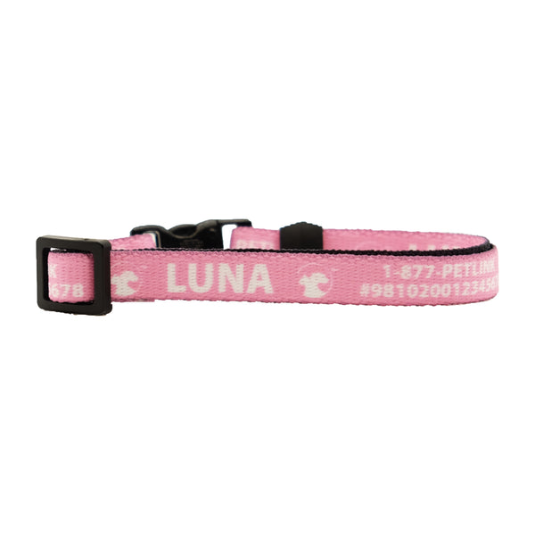 Personalized Solid Break-Away Cat Collars