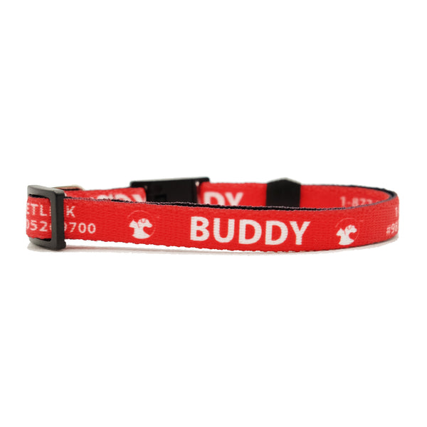 Personalized Solid Break-Away Cat Collars