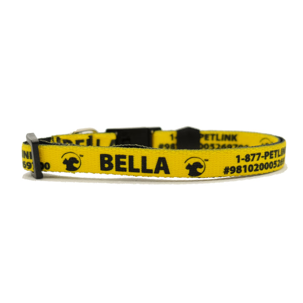 Personalized Solid Break-Away Cat Collars