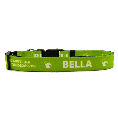 Personalized Solid Dog Collars (8 colors available)