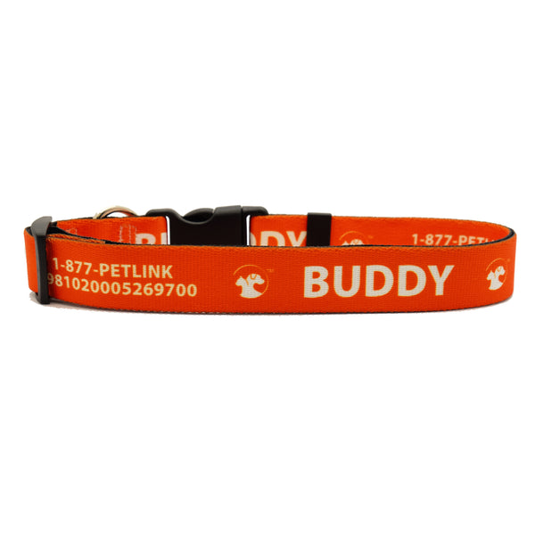Personalized Solid Dog Collars (8 colors available)